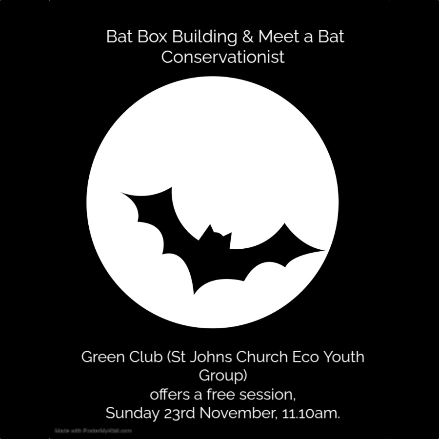 Bat Box and Batman, Sunday 23 November, 11:10am